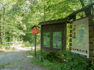 Rezerwat przyrody Łężczok