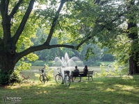 Park Świerklaniec uwielbiany przez rowerzystów