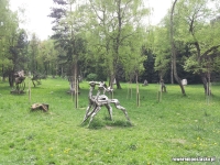 Park Śląski - Rzeźby