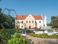 Pałac Męcińskich w Działoszynie