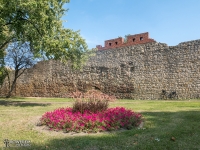 Mury obronne w Wieluniu