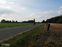 Pola, lasy, łąki i po środku nitka asfaltu - idealne miejsce na rower
