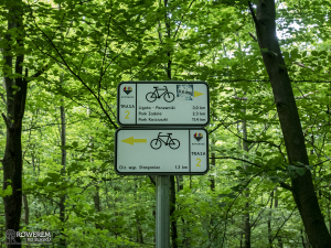 Szlaki rowerowe w Katowicach