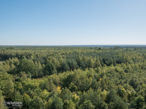Widok z wiezy na Lasy Rudzkie