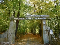 Arboretum Bramy Morawskiej w Raciborzu