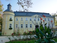 Pałac w Chałupkach