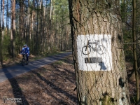 Czarny szlak rowerowy w Lasach Murckowskich