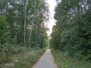 Droga z kostki brukowej do Częstochowy