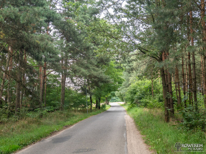 Droga między Kuźnicą Starą a Michalinowem