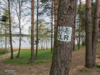 Jezioro Chechło-Nakło