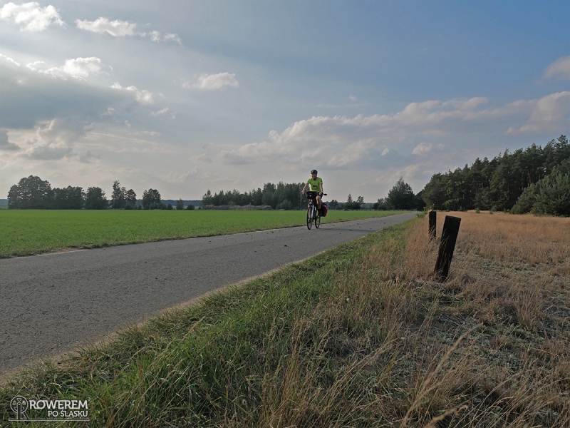 Pola, lasy, łąki i po środku nitka asfaltu - idealne miejsce na rower