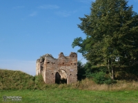 Ruiny zamku w Dankowie