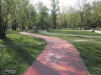 Droga rowerowa w Parku Dworskim