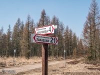 Oznakowanie leśnych dróg w Lasach Rudzkich