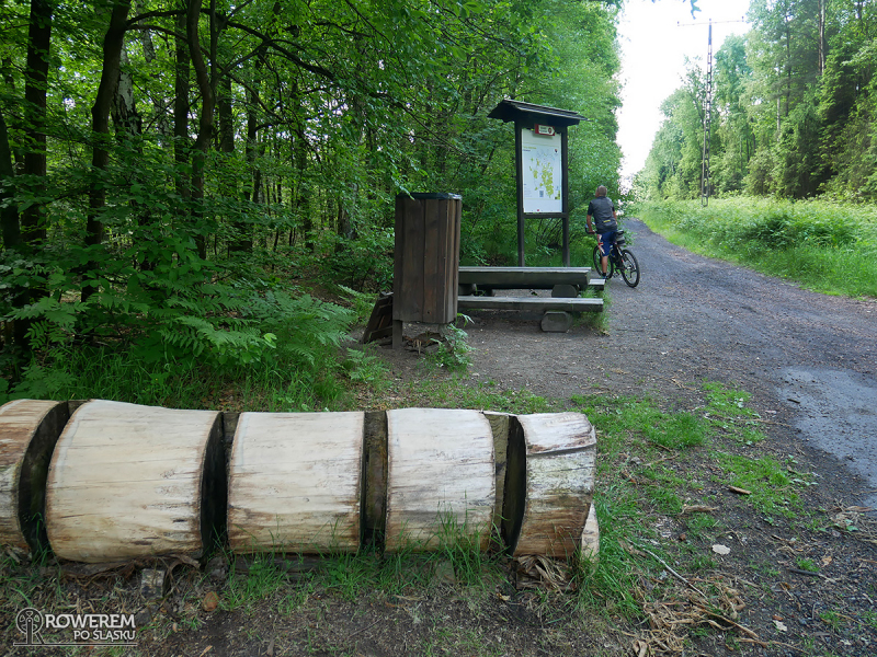 Miejsce odpoczynkowe w Lesie Murckowskim