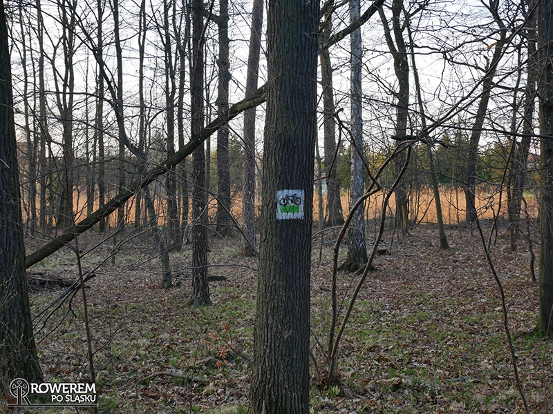 oznakowanie szlaku w Lesie Murckowskim
