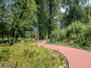 Droga rowerowa przez Park Dworski w dzielnicy Nowy Bytom