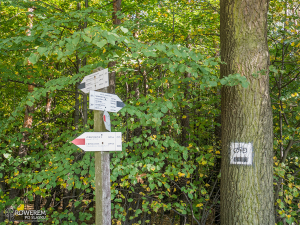 Oznakowanie szlaków rowerowych w Rybniku