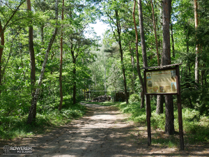 Park Botaniczny - Piaskownia w Żorach