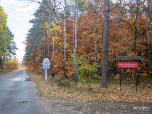 Olsztyn i Park Krajobrazowy Orlich Gniazd