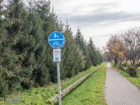 Droga dla pieszych i rowerów wzdłuż potoku Wilkowyjskiego
