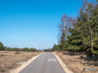 Droga rowerowa między Pomrożycami a Skarżycami