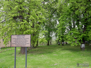 Zabytkowy cmentarz - Trawniki