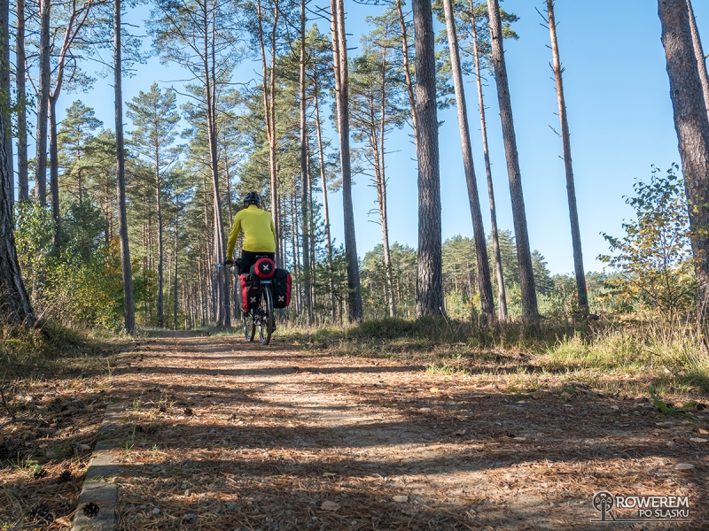 Czerwony szlak rowerowy: Chociński Młyn - Małe Swornegacie