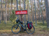 Park Narodowy Bory Tucholskie w pobliżu Drzewicza