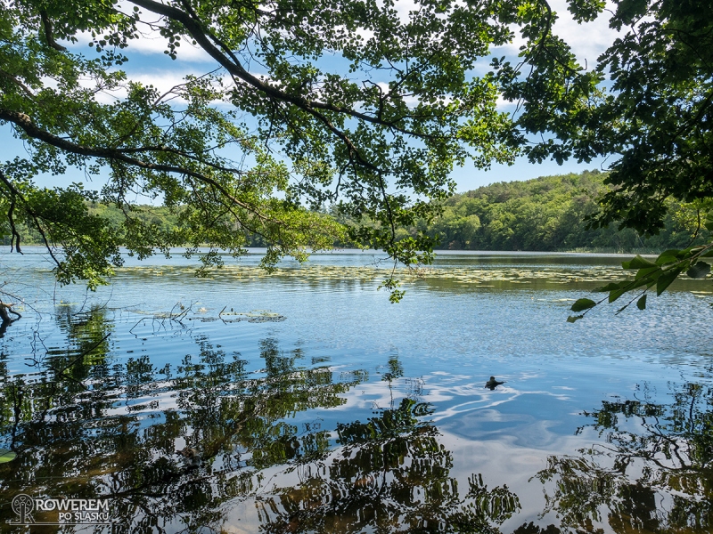 Malownicze jezioro w Wolińsku Parku Narodowym