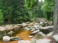 Rzeka Kamienna