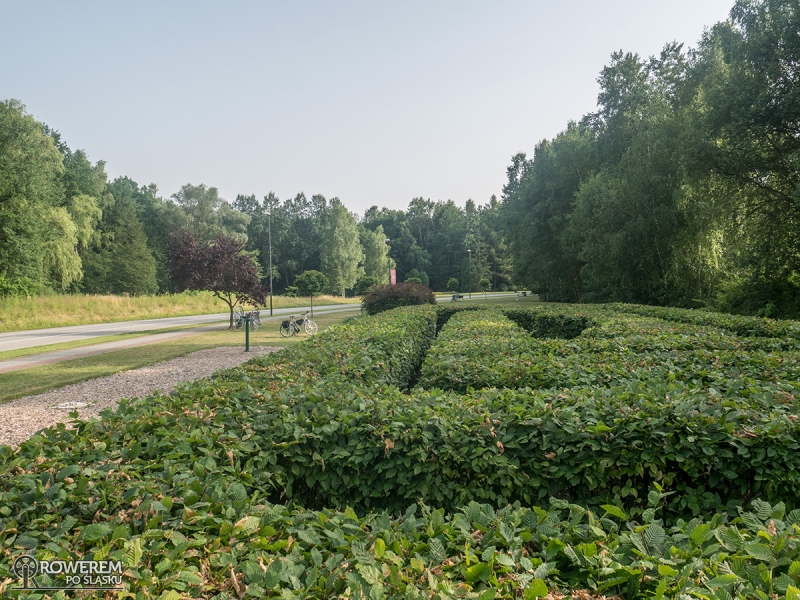 Zielony labirynt - Dolina Trzech Stawów w Katowicach