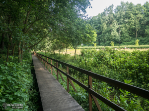 Edukacyjna Ścieżka Przyrodnicza - Dolina Trzech Stawów w Katowicach