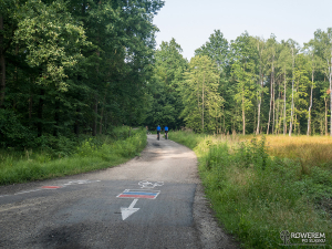 Oznakowanie szlaków rowerowych w lasach Murckowskich
