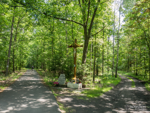 Lasy Murckowskie - droga do Rybaczówki