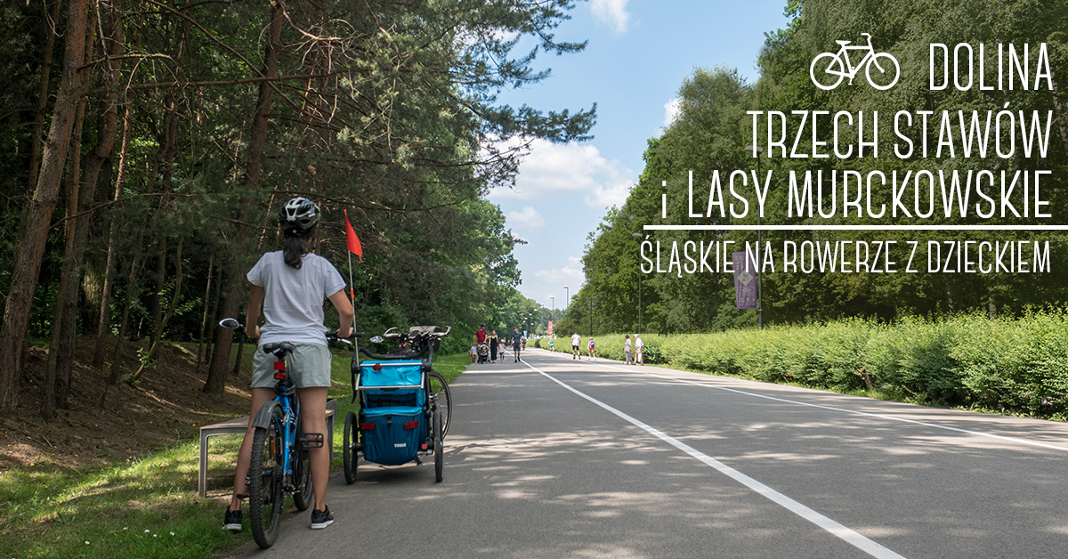 Śląskie na rowerze z dzieckiem: Dolina Trzech Stawów i Lasy Murckowskie