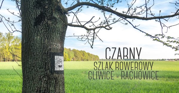 Czarny szlak rowerowy nr 376: Gliwice – Rachowice