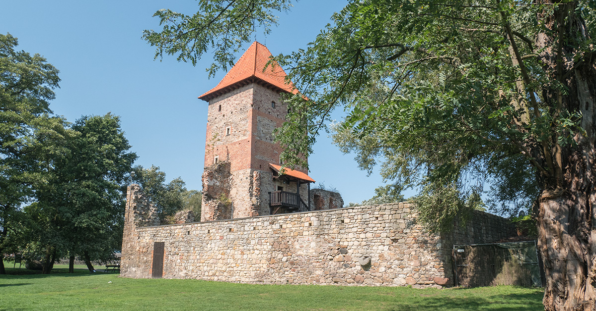 Dąbrowa Górnicza – Zamek w Chudowie